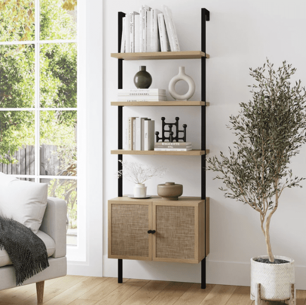 bookshelves ladder